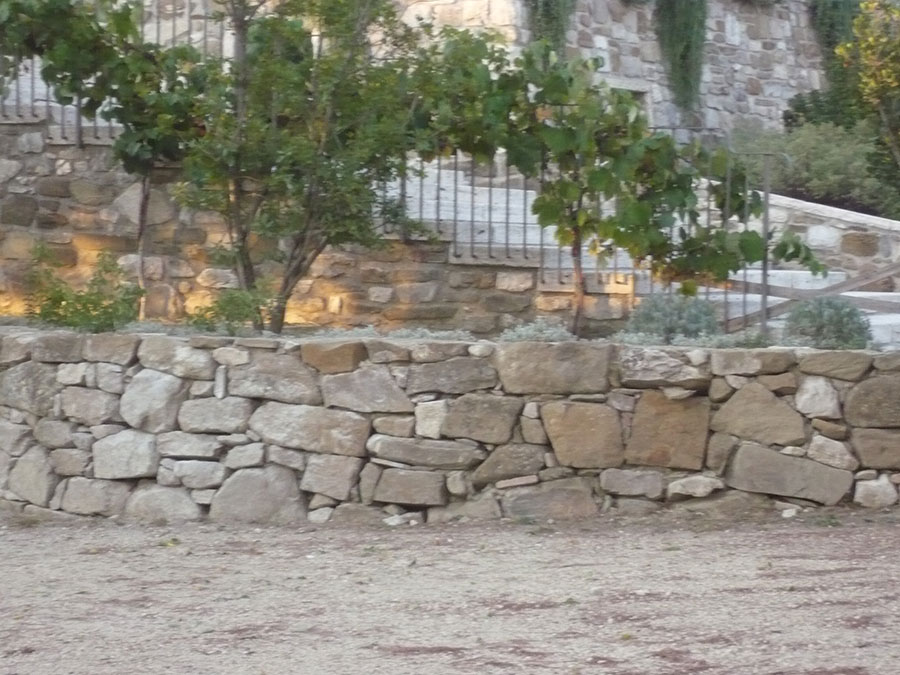 P1010446