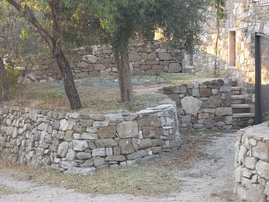 P1010448