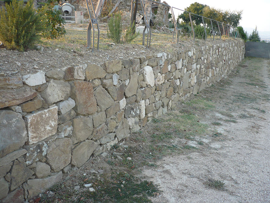 P1010450
